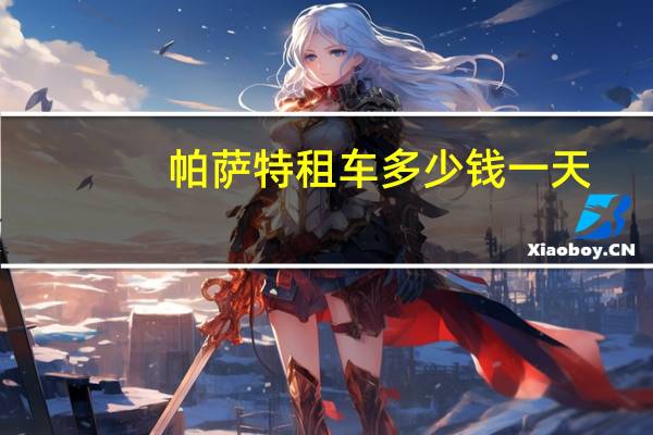 帕萨特租车多少钱一天