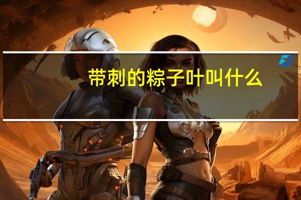 带刺的粽子叶叫什么