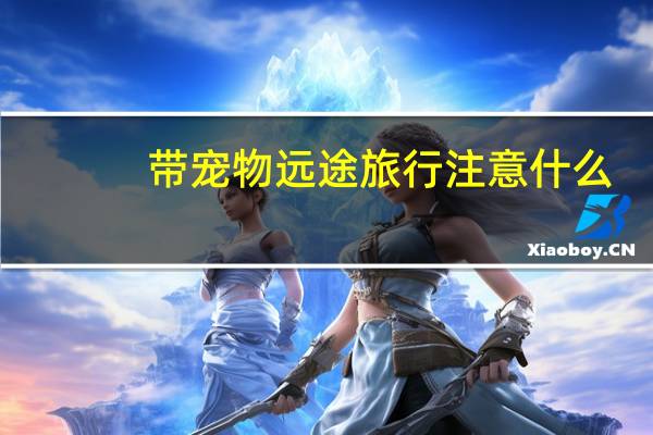 带宠物远途旅行注意什么