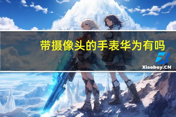 带摄像头的手表华为有吗