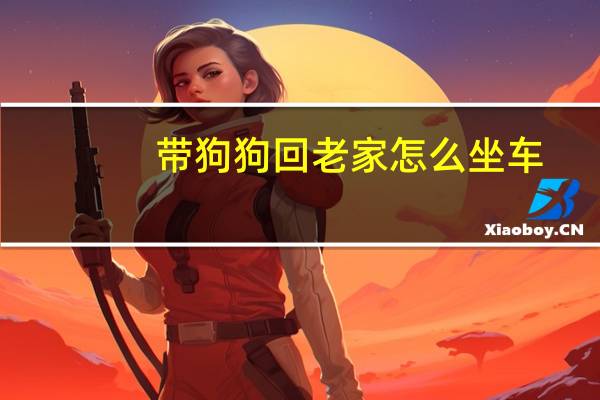 带狗狗回老家怎么坐车