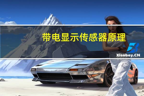 带电显示传感器原理
