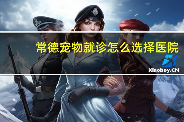 常德宠物就诊怎么选择医院
