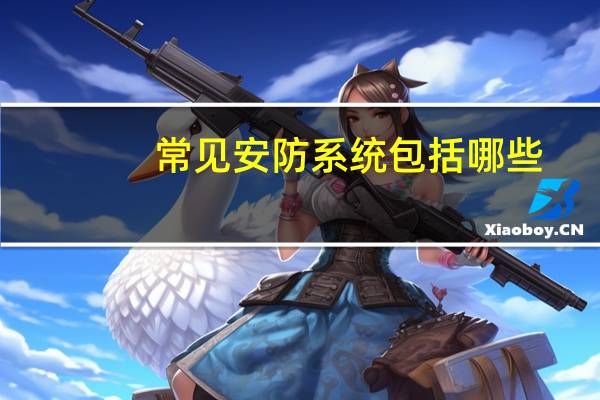 常见安防系统包括哪些