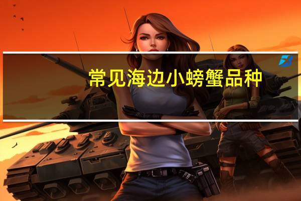 常见海边小螃蟹品种