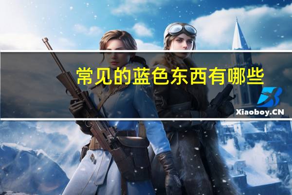 常见的蓝色东西有哪些