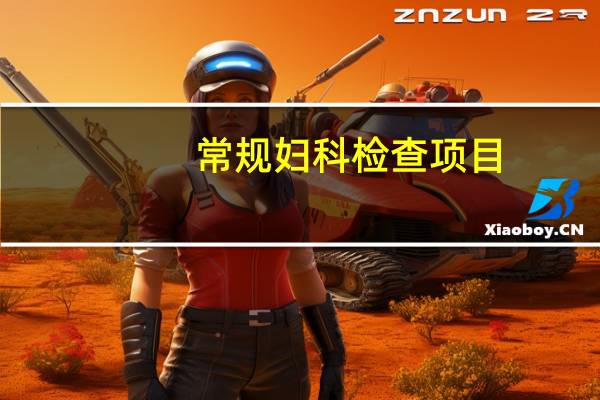 常规妇科检查项目
