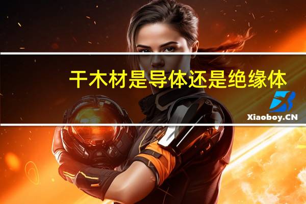 干木材是导体还是绝缘体