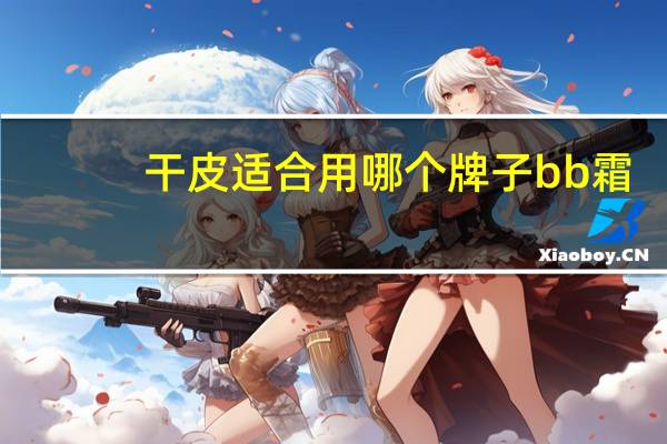 干皮适合用哪个牌子bb霜