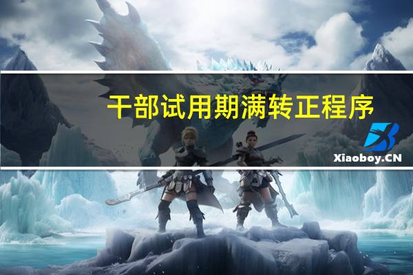 干部试用期满转正程序