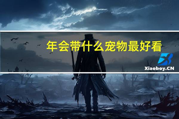 年会带什么宠物最好看