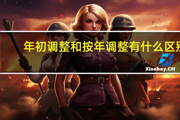 年初调整和按年调整有什么区别