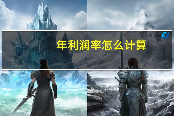年利润率怎么计算