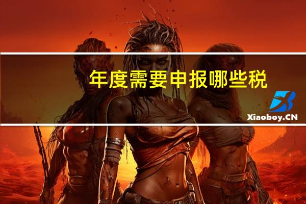 年度需要申报哪些税