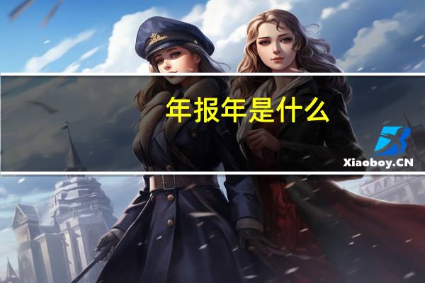 年报年是什么