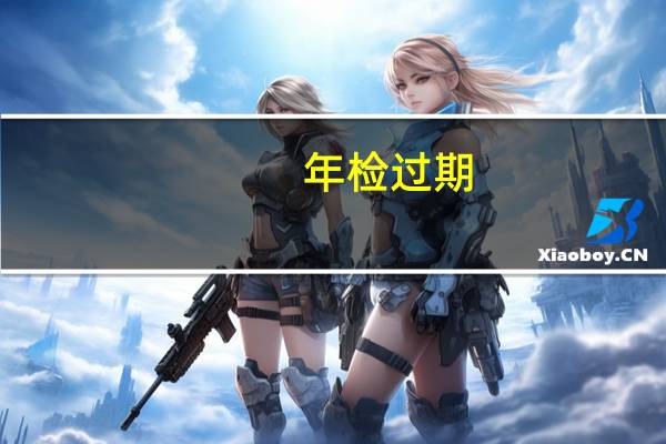 年检过期