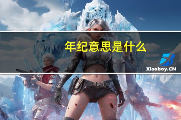 年纪意思是什么