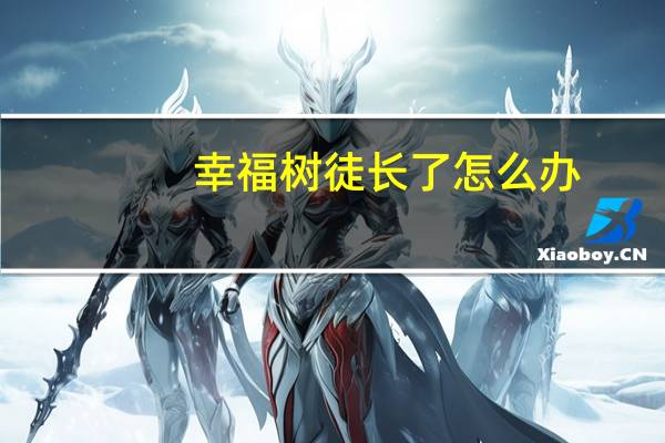 幸福树徒长了怎么办