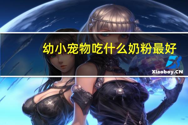 幼小宠物吃什么奶粉最好