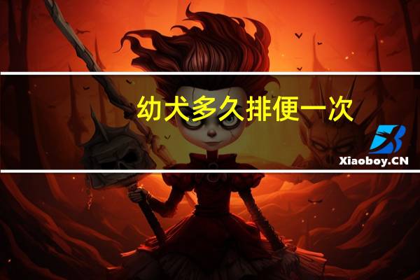 幼犬多久排便一次