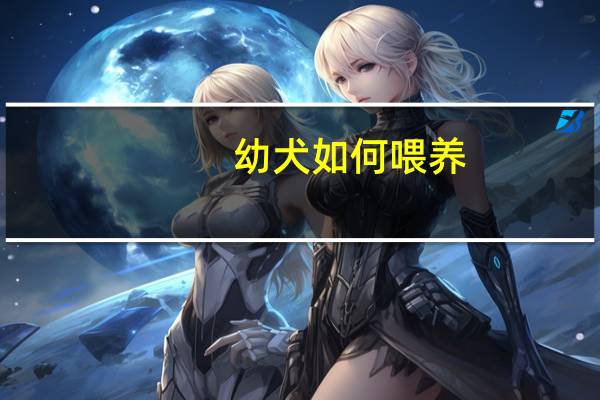 幼犬如何喂养