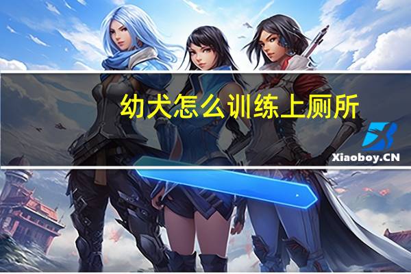 幼犬怎么训练上厕所