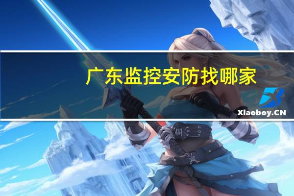 广东监控安防找哪家