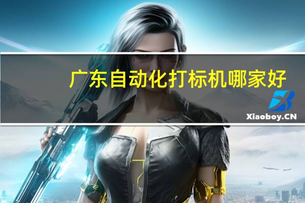 广东自动化打标机哪家好