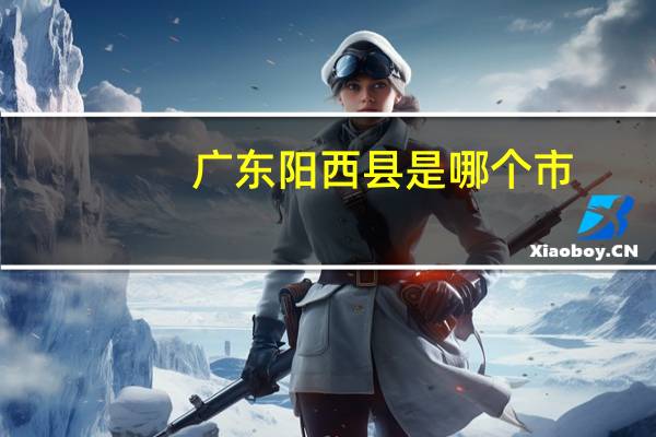 广东阳西县是哪个市