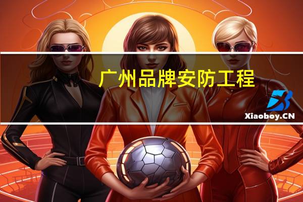 广州品牌安防工程