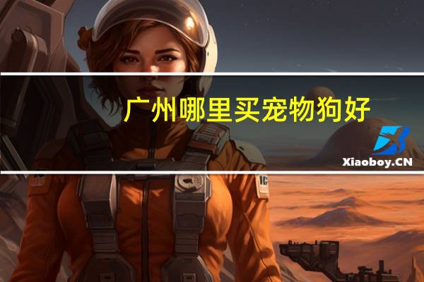 广州哪里买宠物狗好