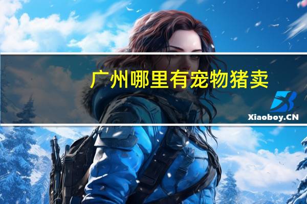 广州哪里有宠物猪卖