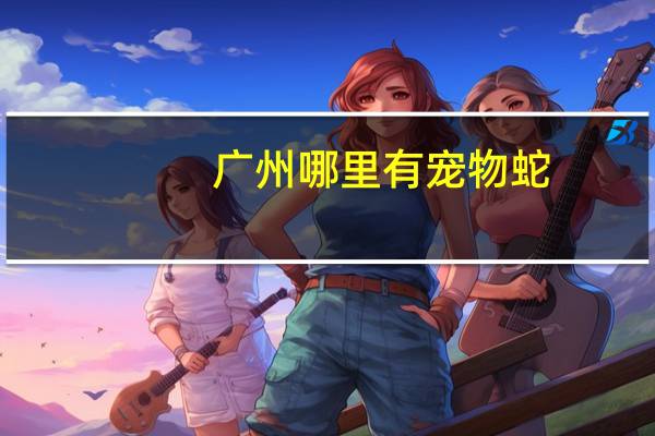 广州哪里有宠物蛇