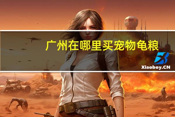 广州在哪里买宠物龟粮