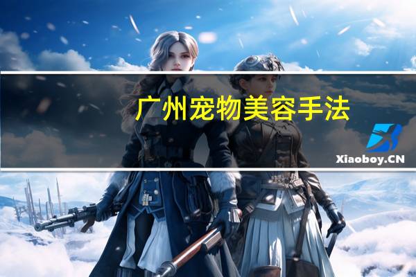 广州宠物美容手法
