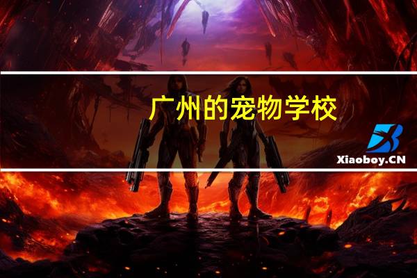 广州的宠物学校
