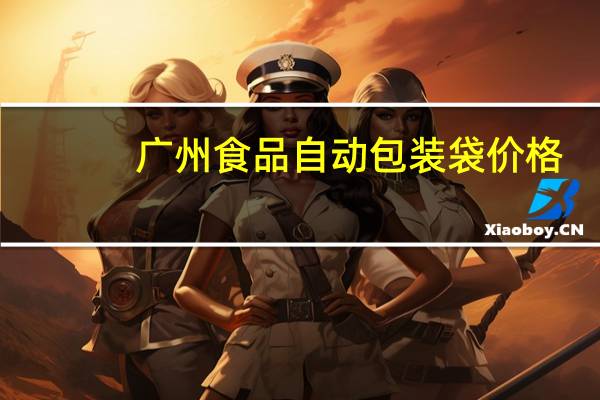 广州食品自动包装袋价格