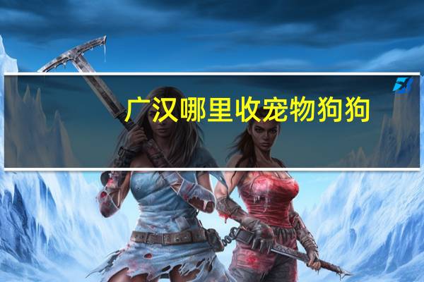 广汉哪里收宠物狗狗