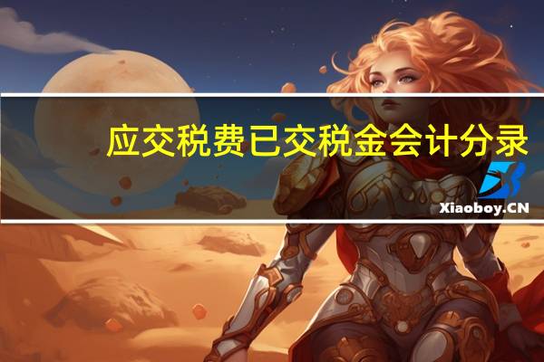 应交税费已交税金会计分录
