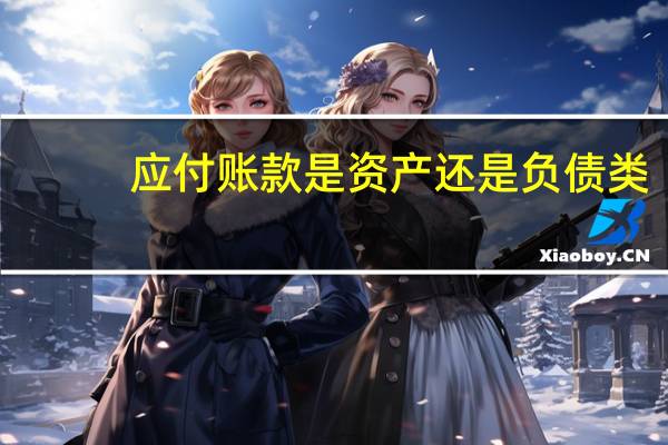 应付账款是资产还是负债类