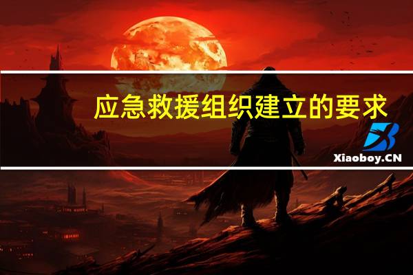 应急救援组织建立的要求