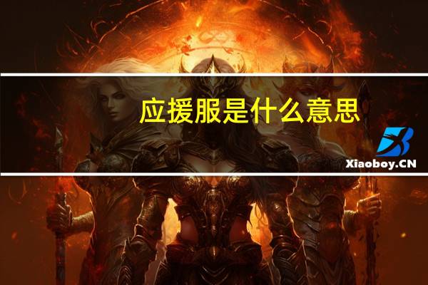 应援服是什么意思