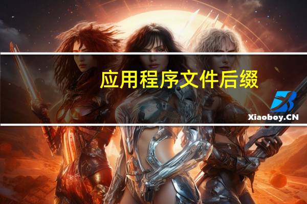 应用程序文件后缀
