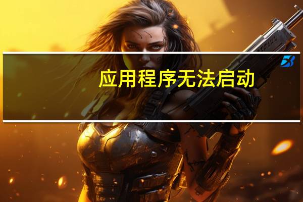 应用程序无法启动