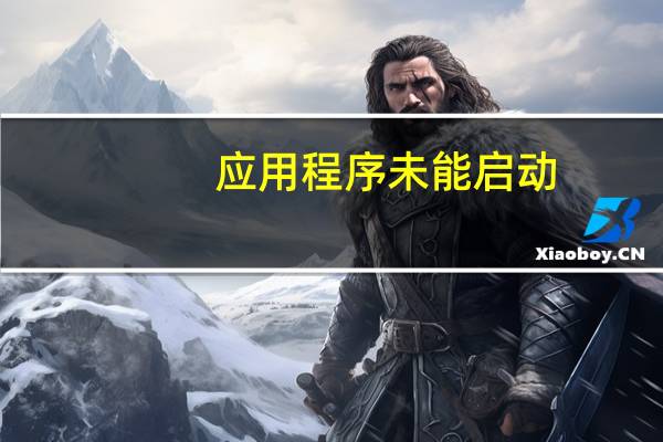 应用程序未能启动