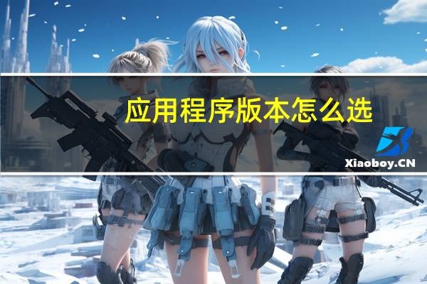 应用程序版本怎么选