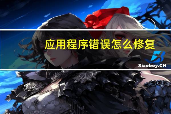 应用程序错误怎么修复