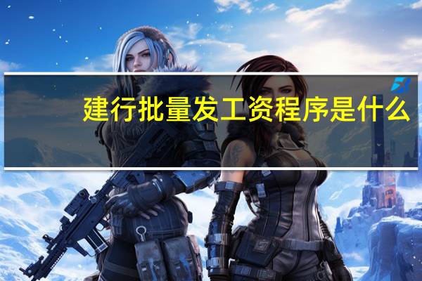 建行批量发工资程序是什么