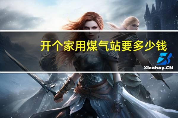 开个家用煤气站要多少钱