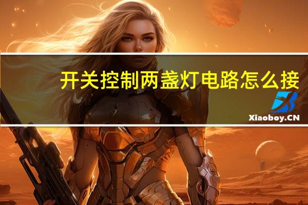 开关控制两盏灯电路怎么接
